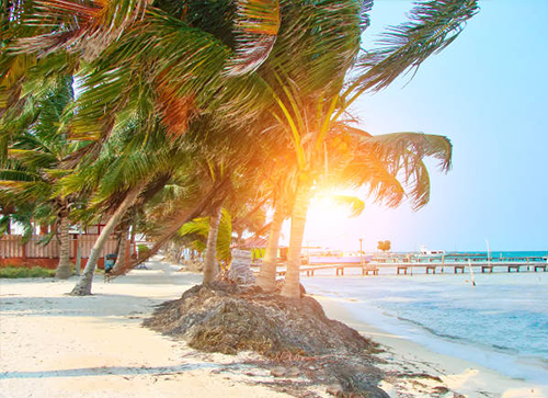 Belize's Tropical Climate at a Glance