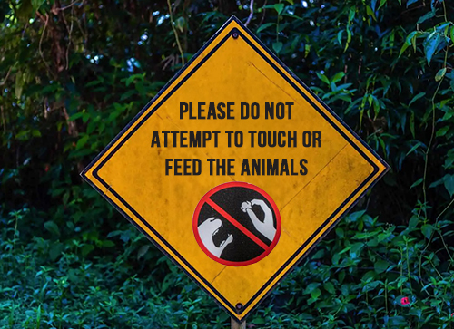 Don’t Feed or Touch Wildlife