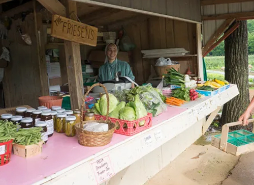 East Indian and Mennonite Contributions