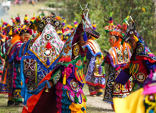 Festivals and Celebrations