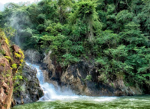 Jungle Adventures in the Inland Region
