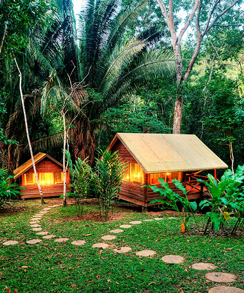 Sustainable Jungle Experiences