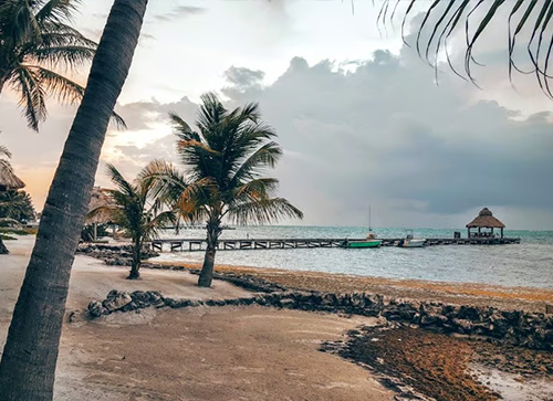 The Wet Season: June to November