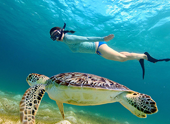 Silk Caye