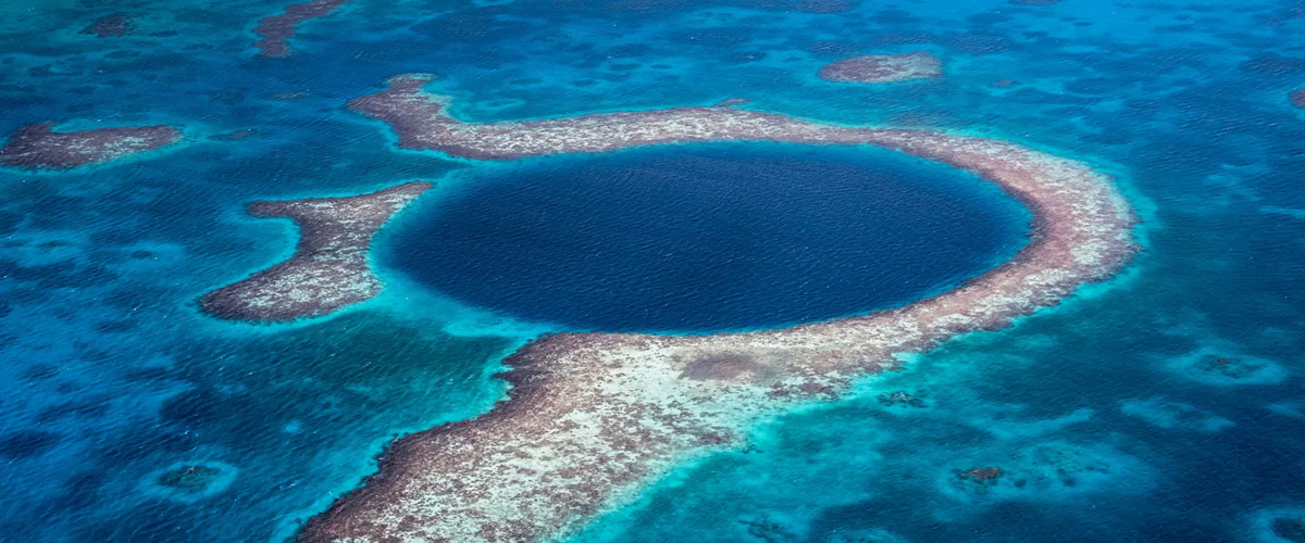 coral-reef
